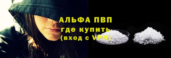 сатива Медногорск