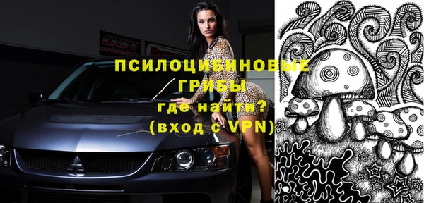 ECSTASY Медвежьегорск