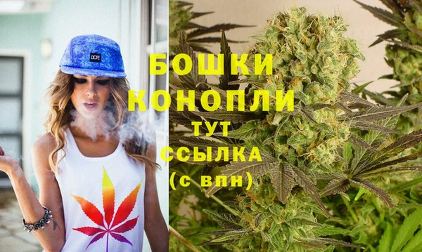 сатива Медногорск